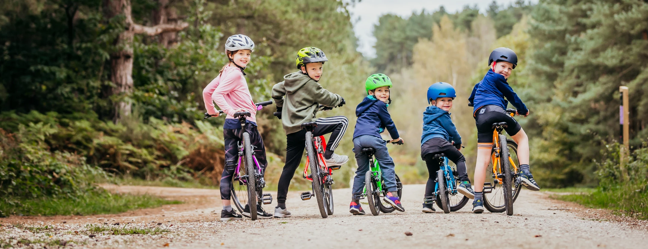 Forside 2 Forside -Alpina Salg 1000